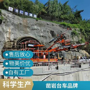隧道锚固钻机 双臂液压锚杆凿岩台车 岩石履带式钻孔机
